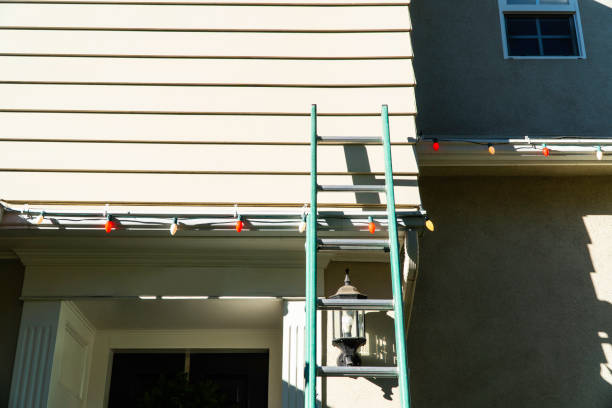 Best Siding Painting and Refinishing  in Oldsmar, FL