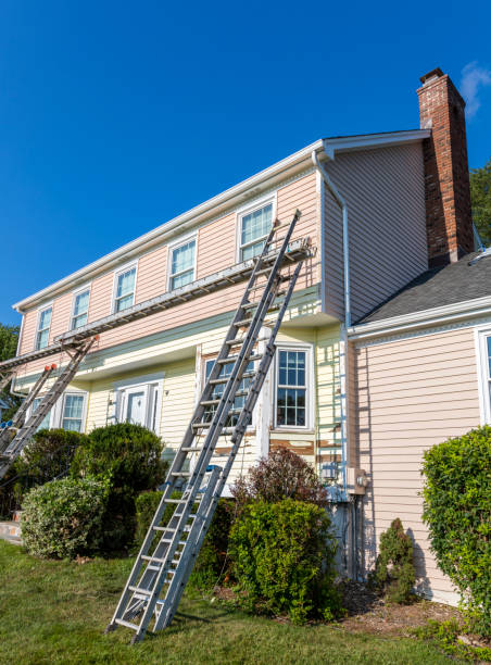 Best Wood Siding Installation  in Oldsmar, FL