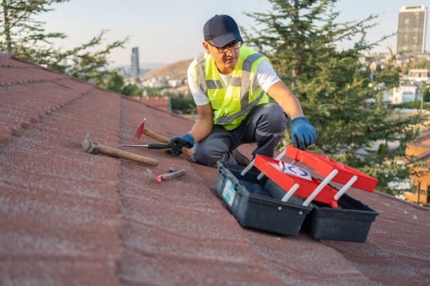 Best Fiber Cement Siding Installation  in Oldsmar, FL